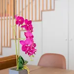 Bonjardim - Modern Garden Duplex N Πόρτο