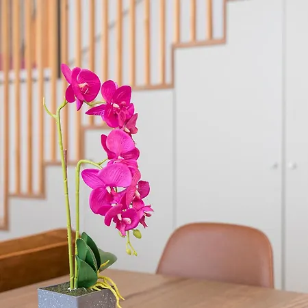Bonjardim - Modern Garden Duplex N بورتو