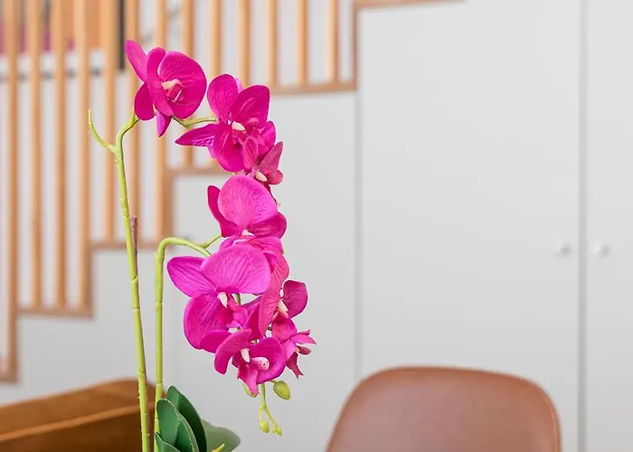 Bonjardim - Modern Garden Duplex N Oporto